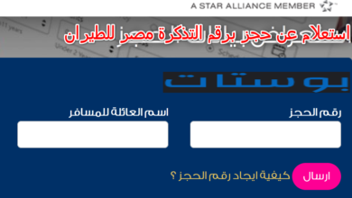 استعلام عن حجز برقم التذكرة مصر للطيران