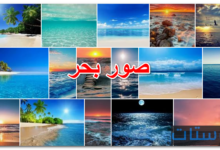 صور بحر