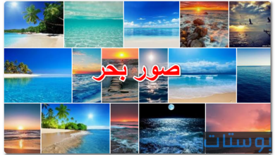 صور بحر