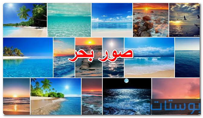 صور بحر