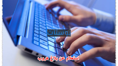 استعلام عن بلاغ هروب