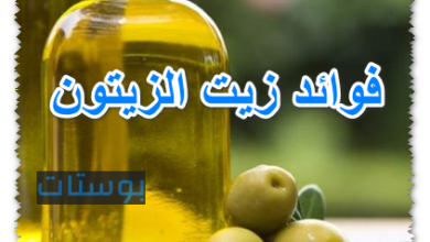 فوائد زيت الزيتون