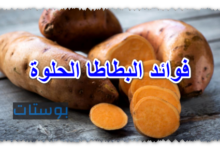 فوائد البطاطا الحلوة