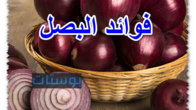 فوائد البصل